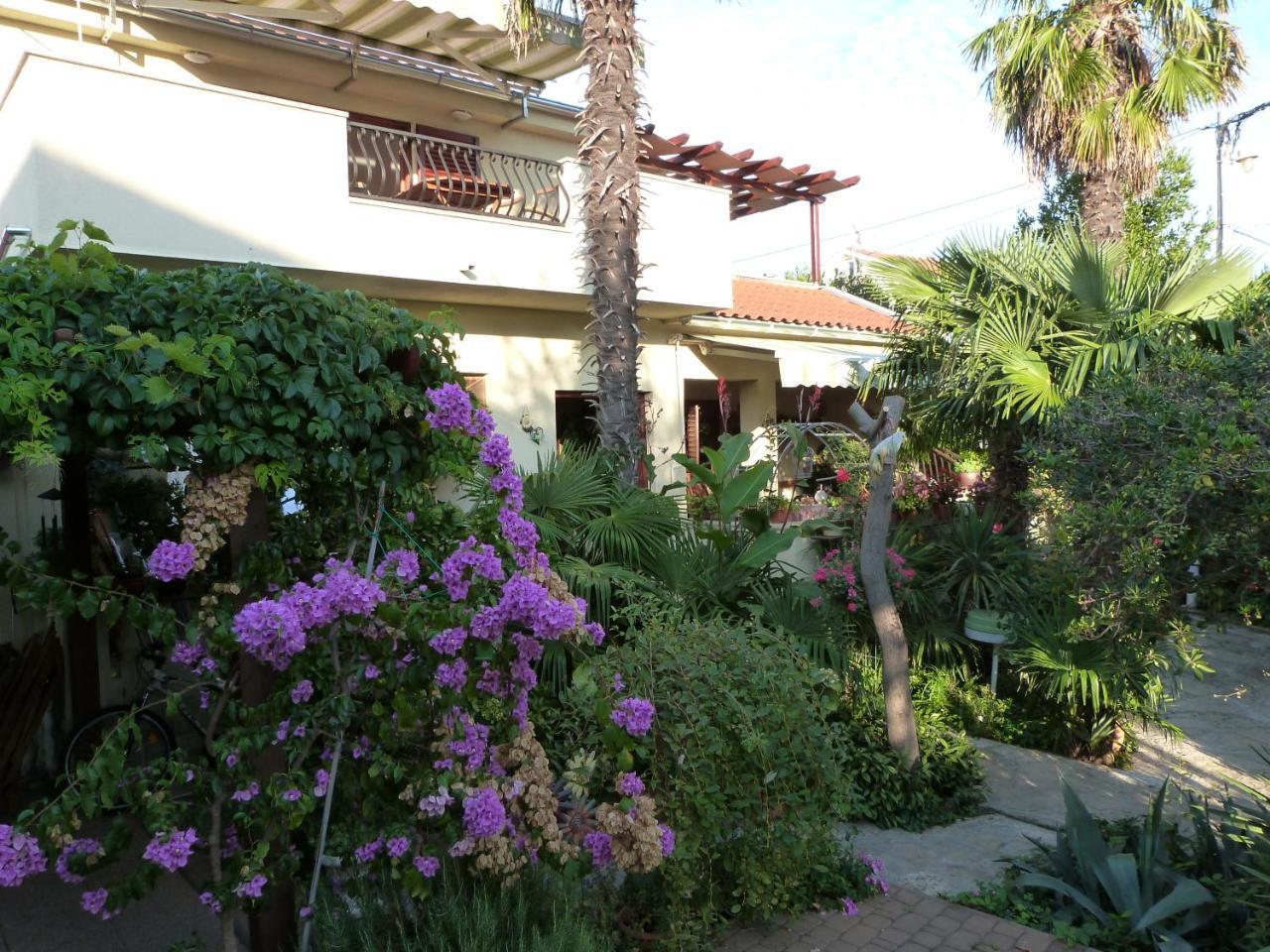 Apartments Eva Sukošan Extérieur photo